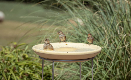 Vogeltränke CeraNatur® mit Ständer